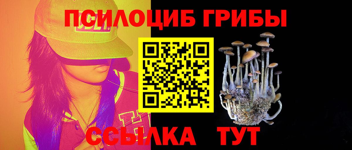 Галлюциногенные грибы Psilocybe Шадринск